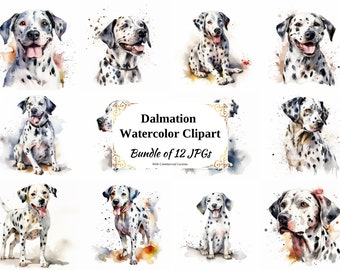 Dalmation Watercolor Clipart – Dog Art, 12 JPG Images (Digital Download)