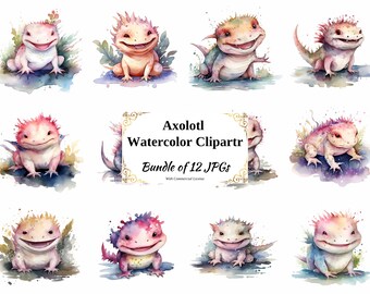 Axolotl Watercolor Clipart – 12 JPGs, Commercial License (Digital Download)