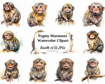 Pygmy Marmoset Watercolor Clipart – 12 JPG Digital Images (Digital Download)