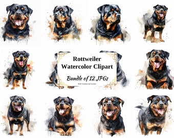 Rottweiler Watercolor Clipart – Dog Breed Graphics, 12 JPGs (Digital Download)