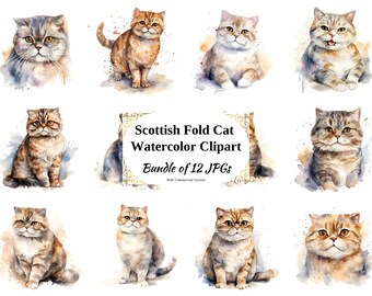 Scottish Fold Cat Watercolor Clipart – 12 JPGs, Commercial License (Digital Download)