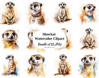 Meerkat Watercolor Clipart – 12 JPG Animal Graphics (Digital Download)