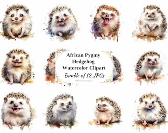 Watercolor African Pygmy Hedgehog Clipart - 12 JPGs (Digital Download)
