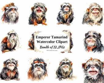 Emperor Tamarin Watercolor Clipart – 12 JPGs, Digital Download
