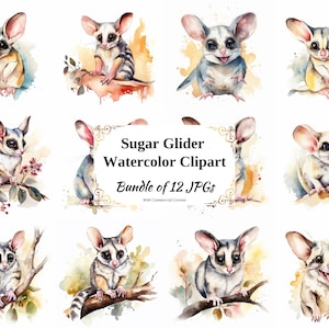 Pack de cliparts numériques Sugar Glider - 12 fichiers JPG de haute qualité - téléchargement numérique - fabrication de cartes, scrapbooking, créations numériques en papier, techniques mixtes