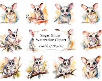 Sugar Glider Watercolor Clipart – 12 JPGs (Digital Download)