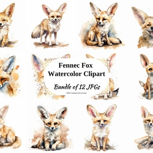 Pack de cliparts numériques fennec renard - 12 fichiers JPG de haute qualité - téléchargement numérique - fabrication de cartes, scrapbooking, créations numériques en papier, techniques mixtes