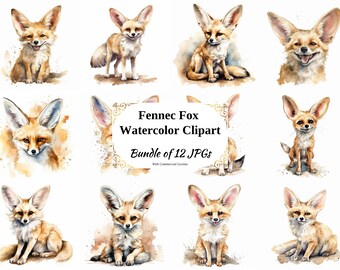 Fennec Fox Watercolor Clipart – Digital Art, Card Making (Digital Download)