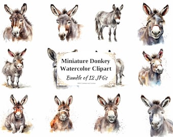 Watercolor Miniature Donkey Clipart – Digital Art Bundle (12 JPGs)