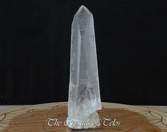 Lemurian Star Seed Crystal Trans-Channeler: DOW 7-3-7-3-7-3 - 296g, 6" tall - Serra Do Cabral, Brazil