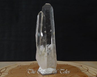 Lemurian Star Seed Crystal Tantric Twin 437g - Serra do Cabral, Brazil