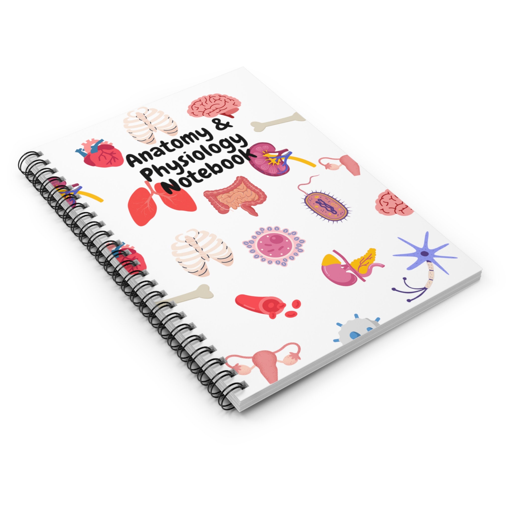 Anatomy and Physiology Notebook, Nursing Student Journal, Human Anatomy ...