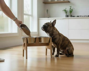 Può includere: Un bulldog francese tigrato è seduto vicino a un supporto in legno per ciotole per cani con due ciotole in acciaio inossidabile. Una persona sta versando cibo per cani in una delle ciotole. Le ciotole sono rialzate.