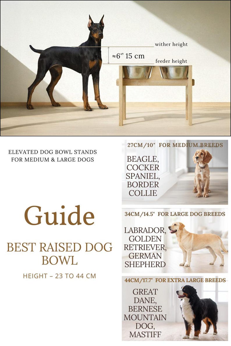 May include: A wooden elevated dog bowl stand with two stainless steel bowls. The stand is approximately 6 inches (15 cm) high. The image includes a guide for choosing the correct height for medium, large, and extra-large dog breeds.