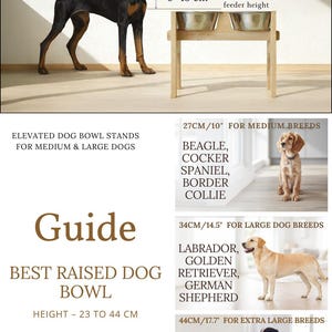 May include: A wooden elevated dog bowl stand with two stainless steel bowls. The stand is approximately 6 inches (15 cm) high. The image includes a guide for choosing the correct height for medium, large, and extra-large dog breeds.