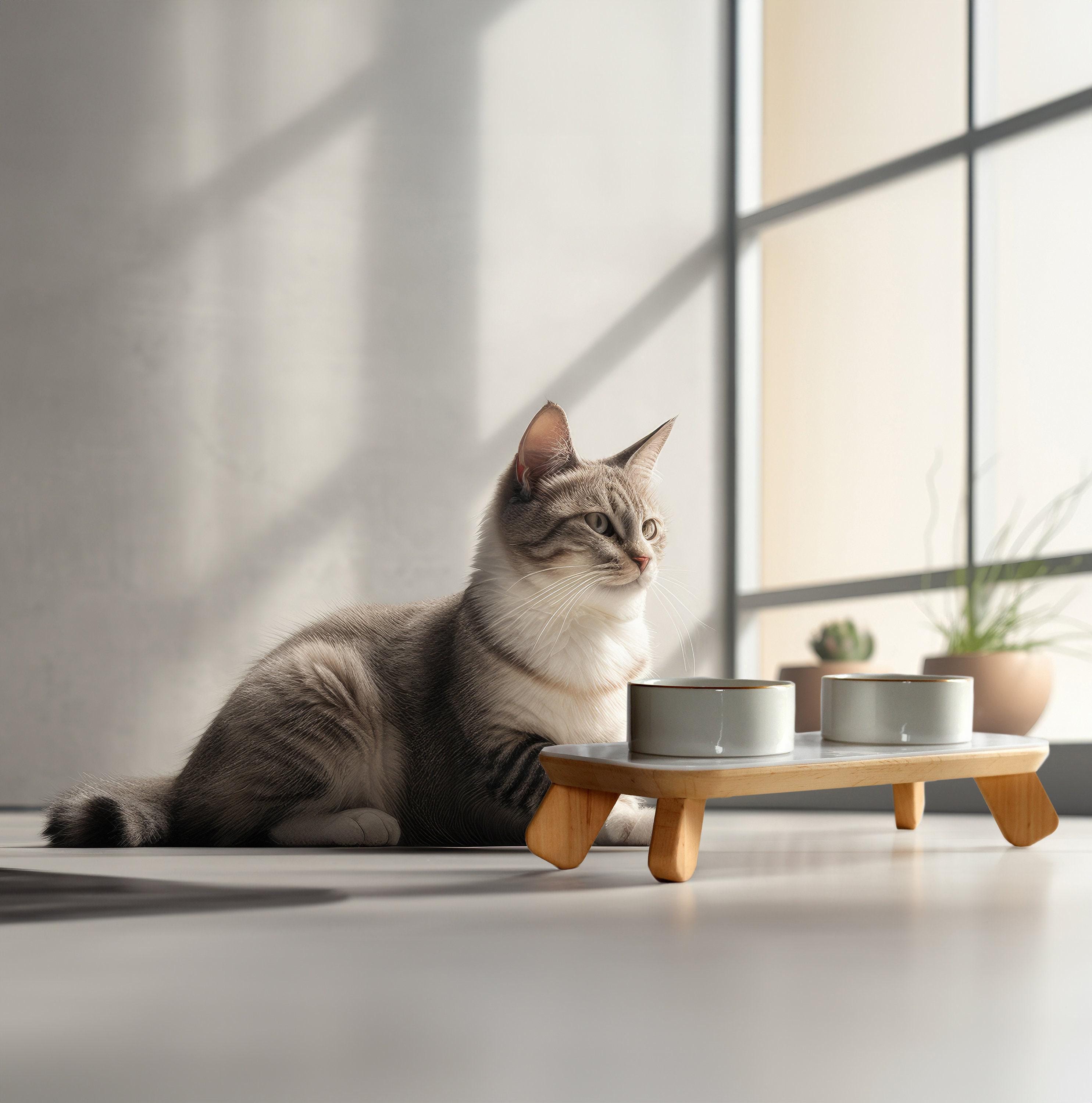 Happybowl Ceramic Pet Bowls On Natural Wood Stand With White Acrylic Top - Cat & Small Dog Feeding Station