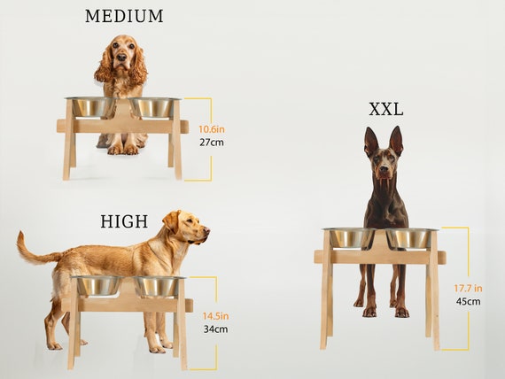 Etsy elevated dog bowls discount