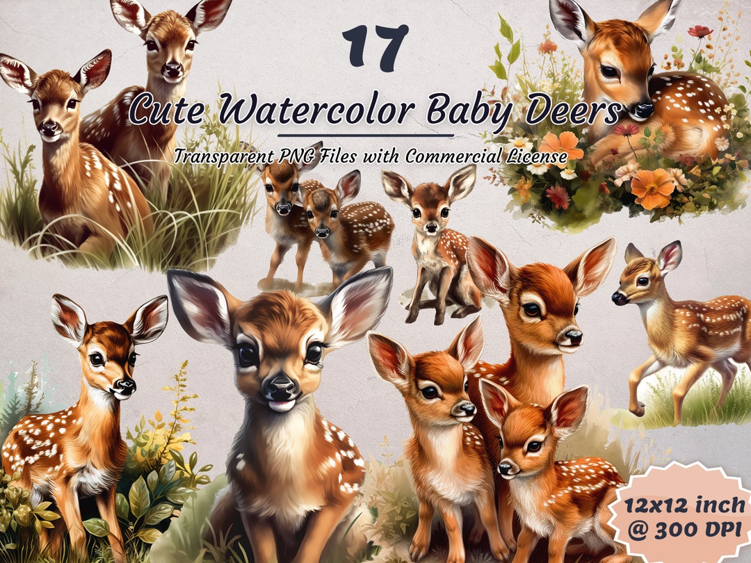 Cute Baby Deer Watercolor Clipart, 17 Transparent PNG Files, Woodland ...
