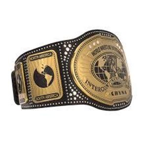 May include: A gold and black wrestling championship belt with the words "World Wrestling Entertainment" and "Intercontinental" on the front. The belt features a globe design and the name "Chyna". The side plates read "North America" and "South America".
