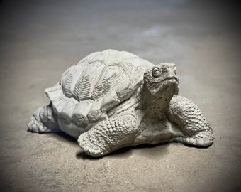 Concrete turtle statue Detailed massive turtle figure Outdoor or indoor nautical sculpture