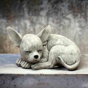 Curled up Chihuahua dog statue Laying Chihuahua figure Concrete dog memorial