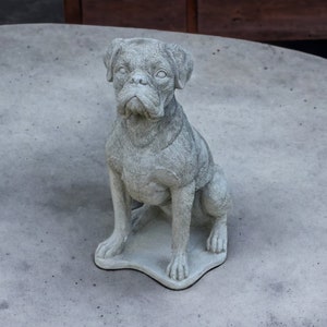 Sitting Boxer puppy statue Concrete dog sculpture outdoor or indoor Massive Boxer dog memorial