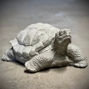 May include: A gray concrete turtle statue with a detailed shell and a realistic head. The turtle is lying on its belly with its legs outstretched.