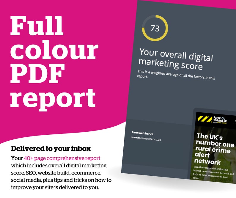 Op de afbeelding: Een roze en grijze afbeelding met de tekst "Full color PDF report" en "Delivered to your inbox". De afbeelding bevat ook een cirkel met het nummer 73 erin en de tekst "Your overall digital marketing score".