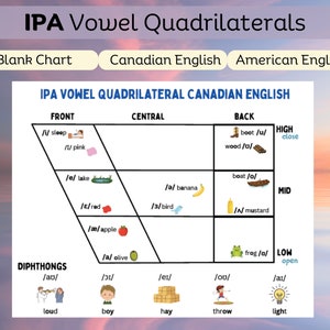 Quadrilatère de voyelles | API | Orthophonie
