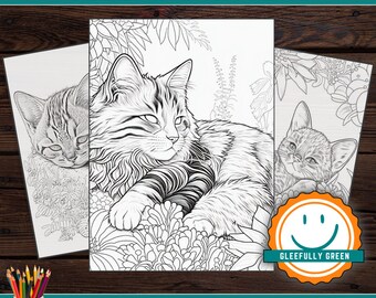 10 Printable Sleeping Kitten Coloring Pages for Kids and Adults - Digital Download - PDF