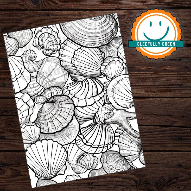 20 Pretty Seashells Coloring Page Printable for Adults and Kids Digital