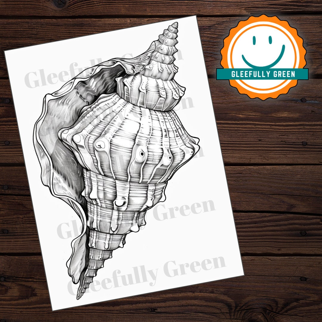 20 Pretty Seashells Coloring Page Printable for Adults and Kids Digital Download Grayscale ...