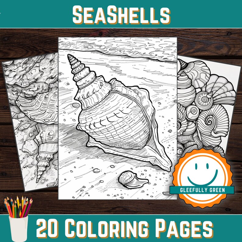 20 Printable Seashells Coloring Pages for Kids and Adults Digital 20 Printable Seashells Coloring Pages for Kids and Adults Digital