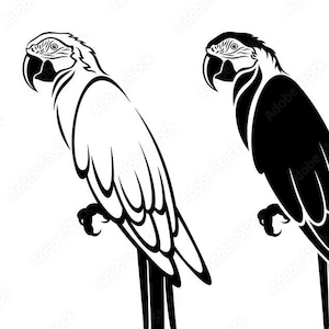 Pode incluir: Duas ilustrações em silhueta preto e branco de um papagaio. O papagaio está virado para a direita e tem uma cauda longa.