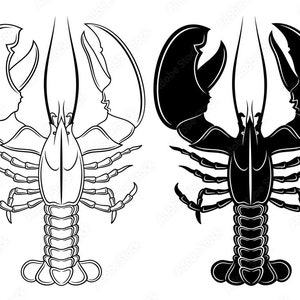 May include: A black and white line drawing of a lobster. The lobster is facing forward with its claws raised. The lobster is in a simple, stylized design.