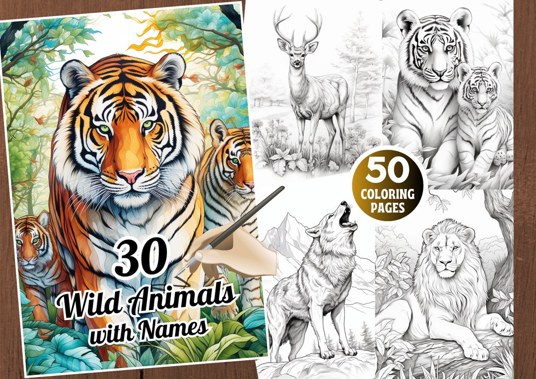 30 Wild Animals With Names 50 Printable Grayscale Coloring - Etsy