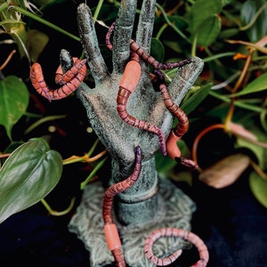 Spooky Worm