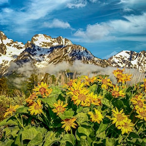 Grand Tetons Wand Kunst Grand Tetons National Park Foto Wand Dekor Wyoming Leinwand Fotografie Büro Wand Dekor Spa Wanddekor
