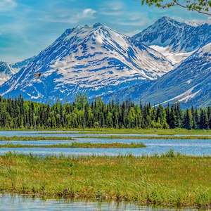 Alaska Lake Wall Art Tern Lake Photo Print Alaska Wall Decor Work From Home Beautiful Landscape Canvas Art