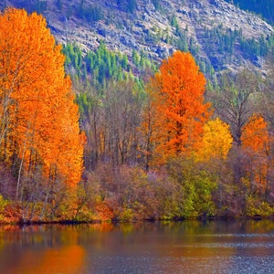 Fall Foliage Wall Art Nature Inspired Forest Scene Fall Color Reflection Wall Decor Work From Home Fall Colors Photo Print Fathers Day Gift