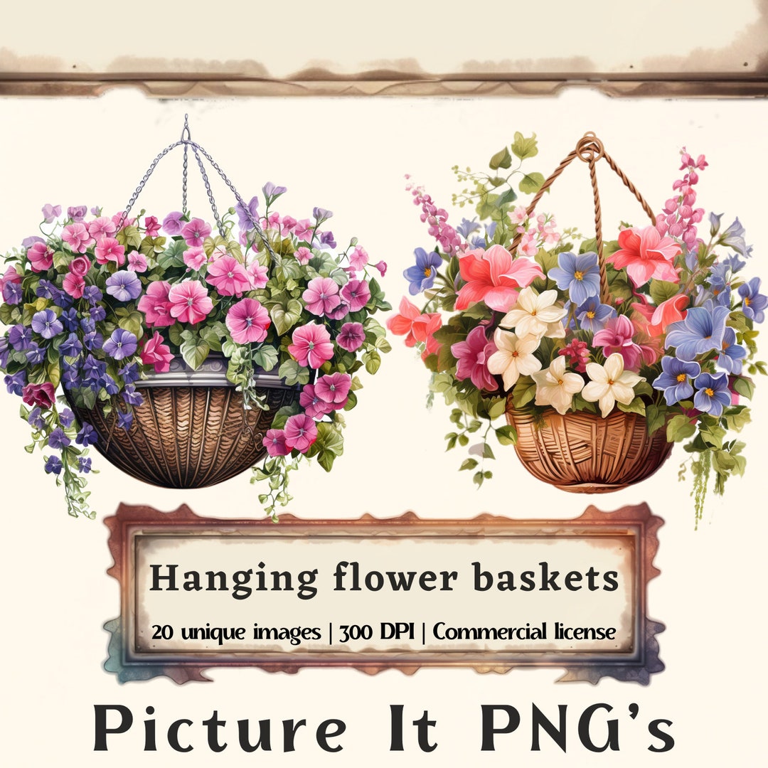 Hanging Flower Basket Clipart Bundle Floral Clipart Flower Etsy