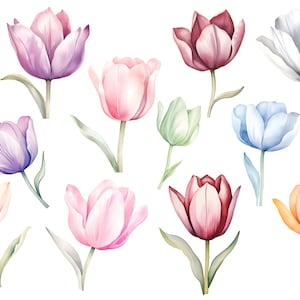 BS242 Bügelbild Set Blumen Tulpen