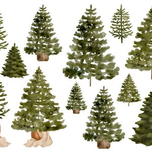 Könnte beinhalten: Eine Sammlung von Aquarell-Illustrationen von verschiedenen Größen grüner Kiefern. Die Bäume sind in einem realistischen Stil mit verschiedenen Grüntönen und Braun gemalt.