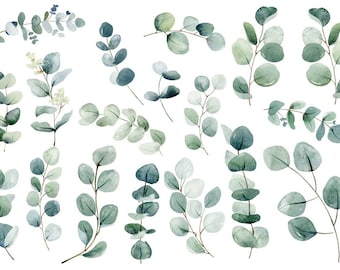 BS225 Bügelbild Set Watercolor-Eucalyptus