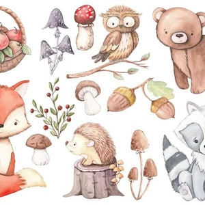 Könnte beinhalten: Aquarell-Illustration von Waldtieren und Pilzen. Zu sehen sind ein roter Fuchs, ein Braunbär, ein Waschbär, ein Igel, eine Eule und ein Korb mit Äpfeln. Die Illustration ist perfekt für ein Kinderzimmer oder eine Kindertagesstätte.