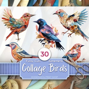 Kit de coisas efêmeras com 30 pássaros de colagem e cortes exigentes | Registro floral | Corte exigente | bordado PNG | Fabricação de cartões | Pássaro vintage | adesivos de flores