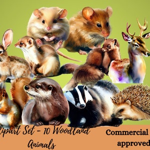 Commercial Use OK clipart of Woodland animals, Print on Demand approved graphics,10 Woodland Animals Clipart set AI