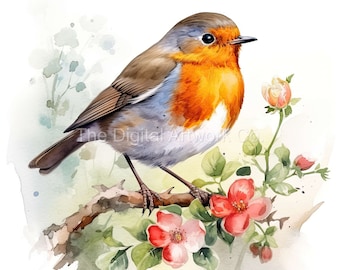 12 High Quality Designs of Watercolour Robins Art 12 JPGs - Print, Watercolour, Wall Art, Commercial Use - Digital Download
