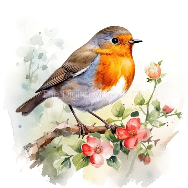12 High Quality Designs of Watercolour Robins Art 12 JPGs - Print, Watercolour, Wall Art, Commercial Use - Digital Download