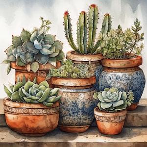 12 High Quality Designs of Cacti and Succulents Clip Art 12 JPGs - Digital Print, Watercolour, Wall Art, Commercial Use - Digital Download